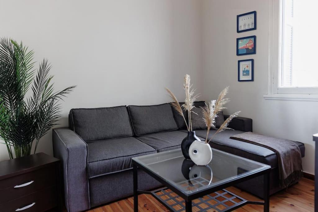 Apartamento μονοκατοικία στο κέντρο της πόλης Chios Town